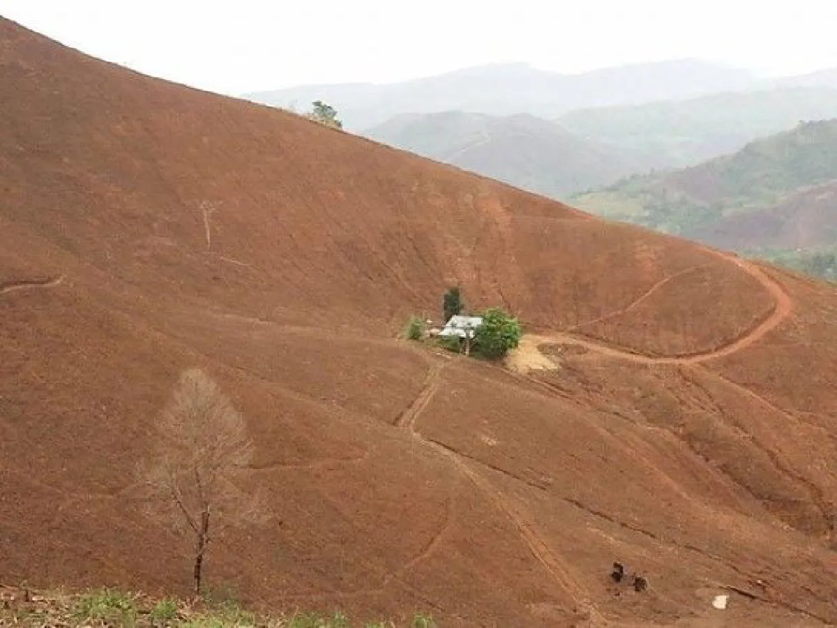 เผยภาพความเปลี่ยนแปลง "เขาหัวโล้นเพชรบูรณ์" หลังผ่านไป 1 ปี