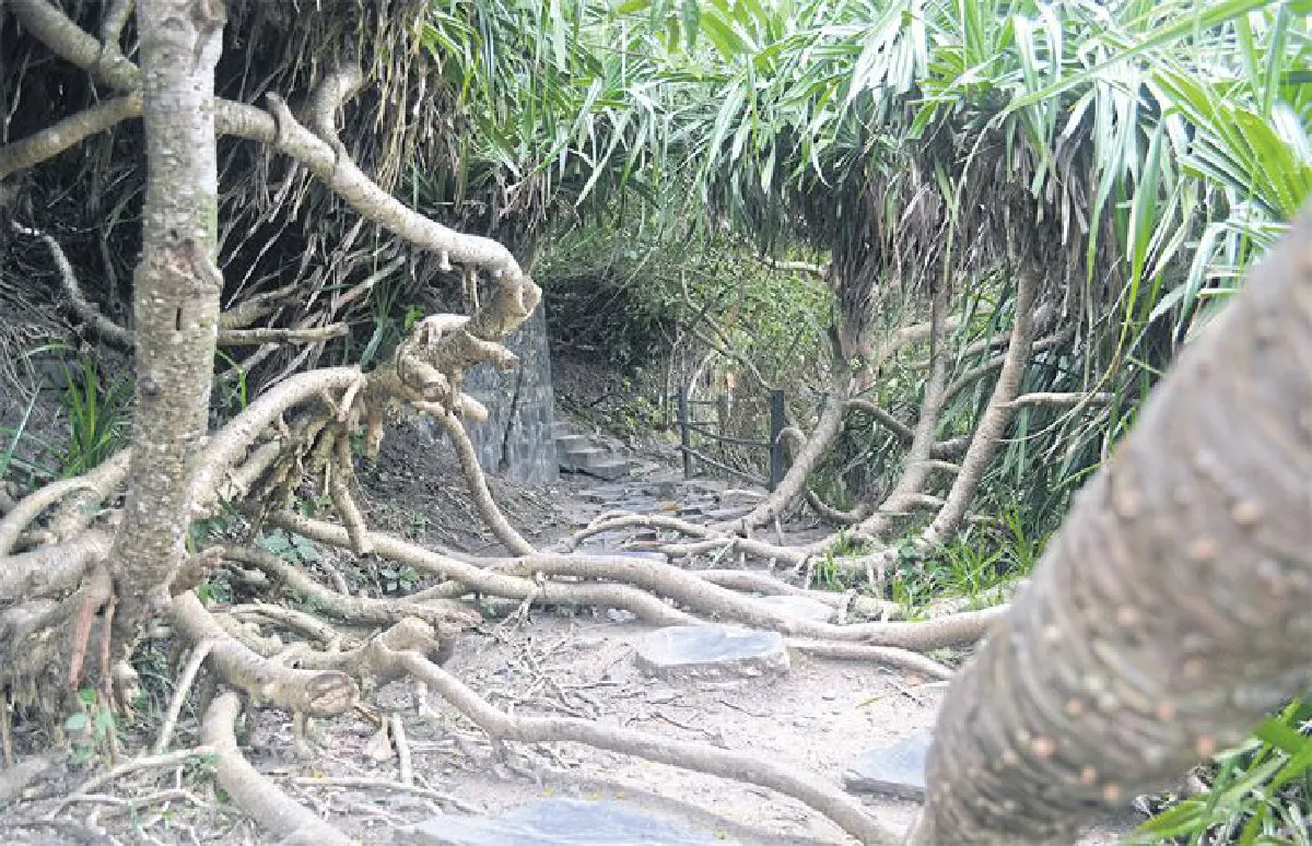 ไฮฟองและเกาะกั๊ตบา ทางเที่ยวใหม่แห่งเวียดนาม