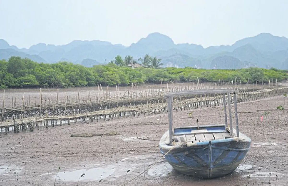 ไฮฟองและเกาะกั๊ตบา ทางเที่ยวใหม่แห่งเวียดนาม