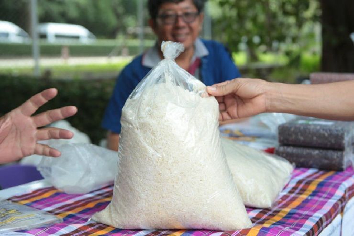 ข้าวหอมฯไทยขึ้นแท่น ครองอันดับ1ในตลาดฮ่องกง สหรัฐ สิงคโปร์ ข้าวหอมฯไทยขึ้นแท่น ครองอันดับ1ในตลาดฮ่องกง สหรัฐ สิงคโปร์