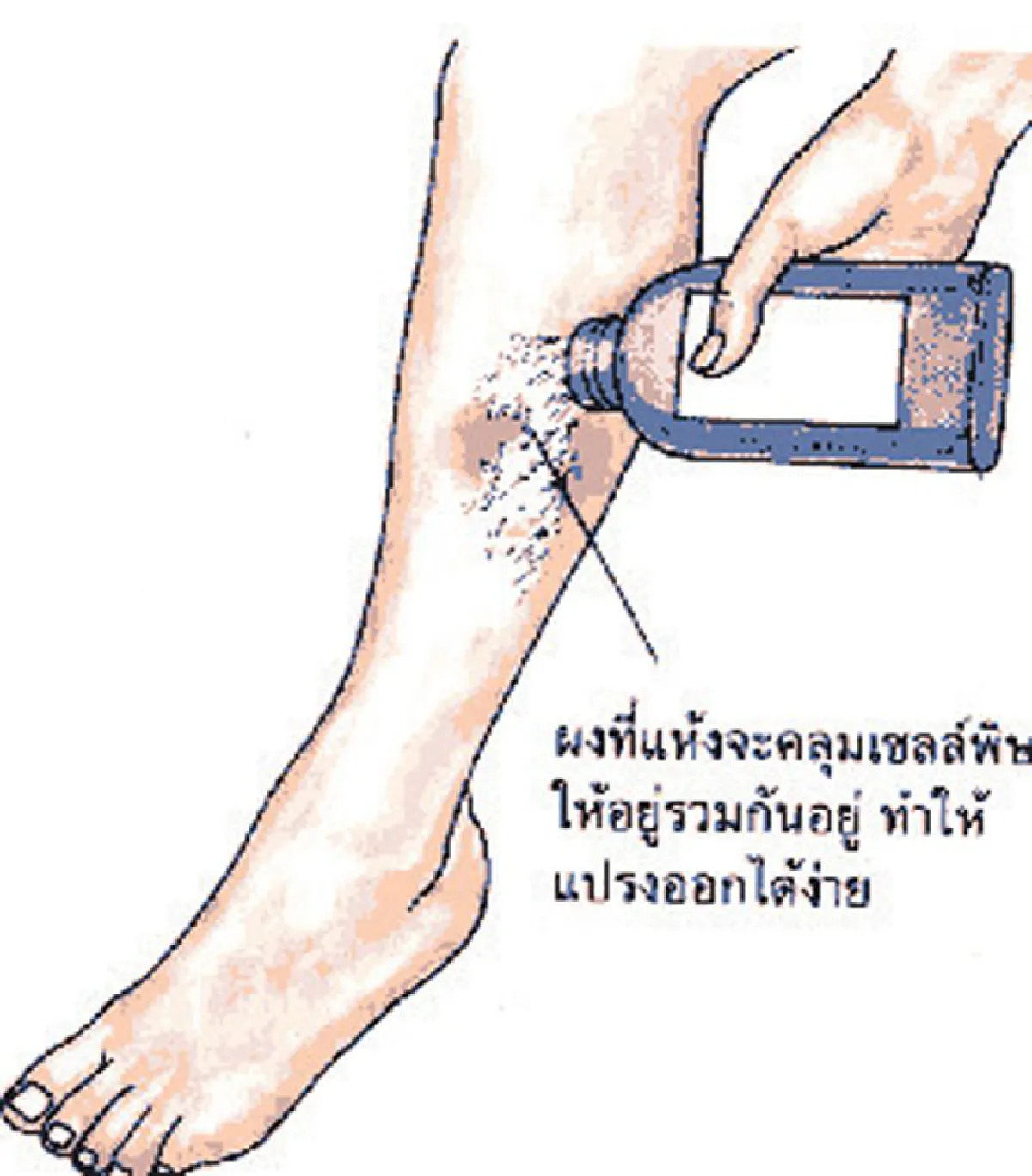 ศิลปินตัวจริงแห่งท้องทะเล