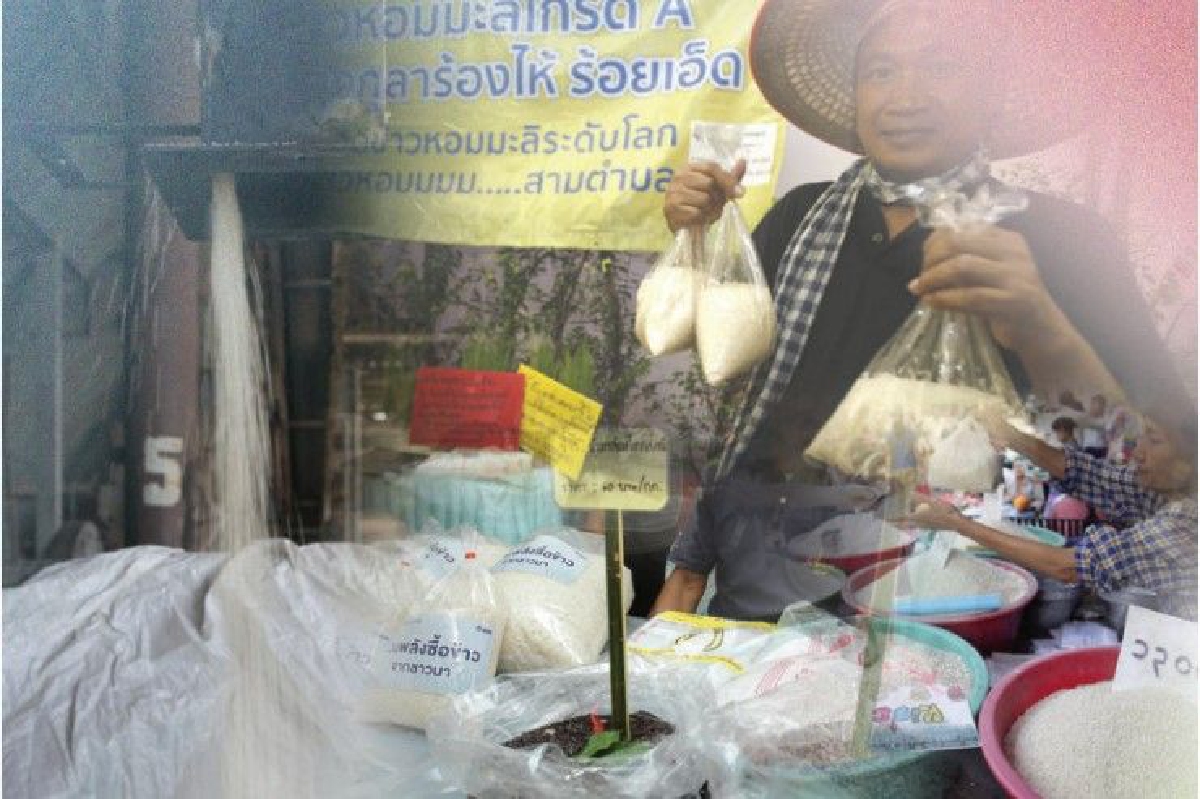 "ปลดแอกโรงสี-ขายข้าวเอง" ทางรอดชาวนา "ปลดแอกโรงสี-ขายข้าวเอง" ทางรอดชาวนา