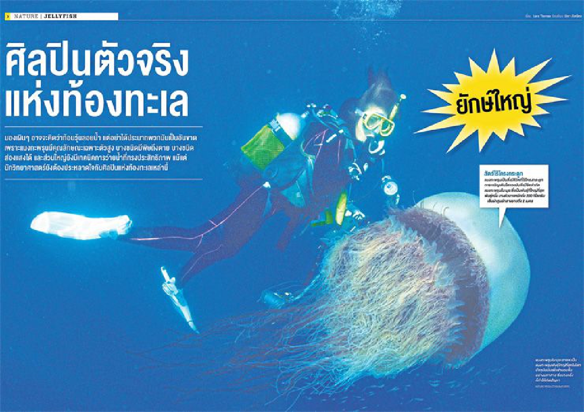 ศิลปินตัวจริงแห่งท้องทะเล ศิลปินตัวจริงแห่งท้องทะเล
