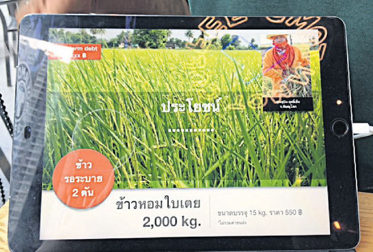ขายข้าวออนไลน์ พึ่งพาตัวเองได้ ขายข้าวออนไลน์ พึ่งพาตัวเองได้