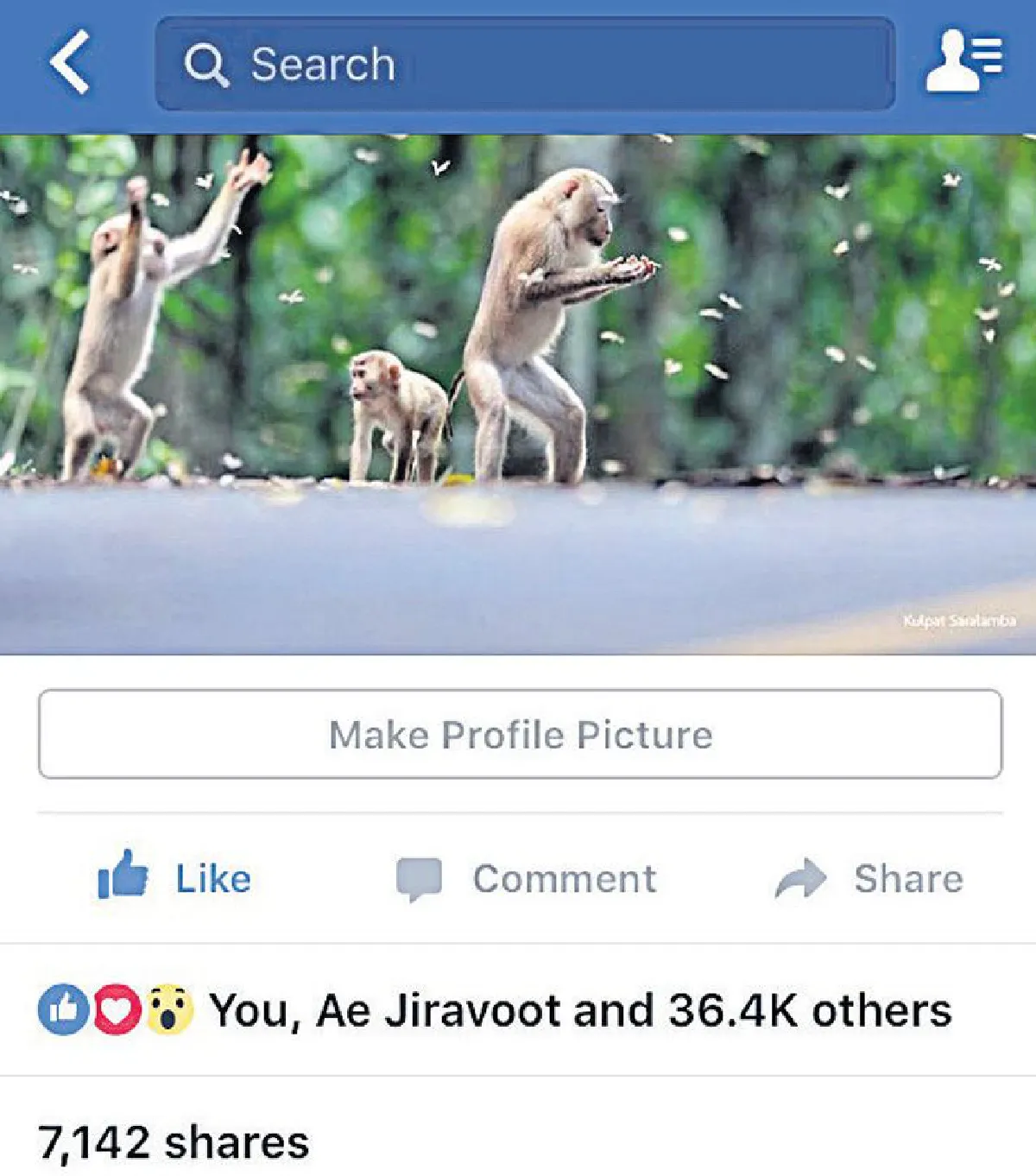 ที่สุดภาพสัตว์ไทย