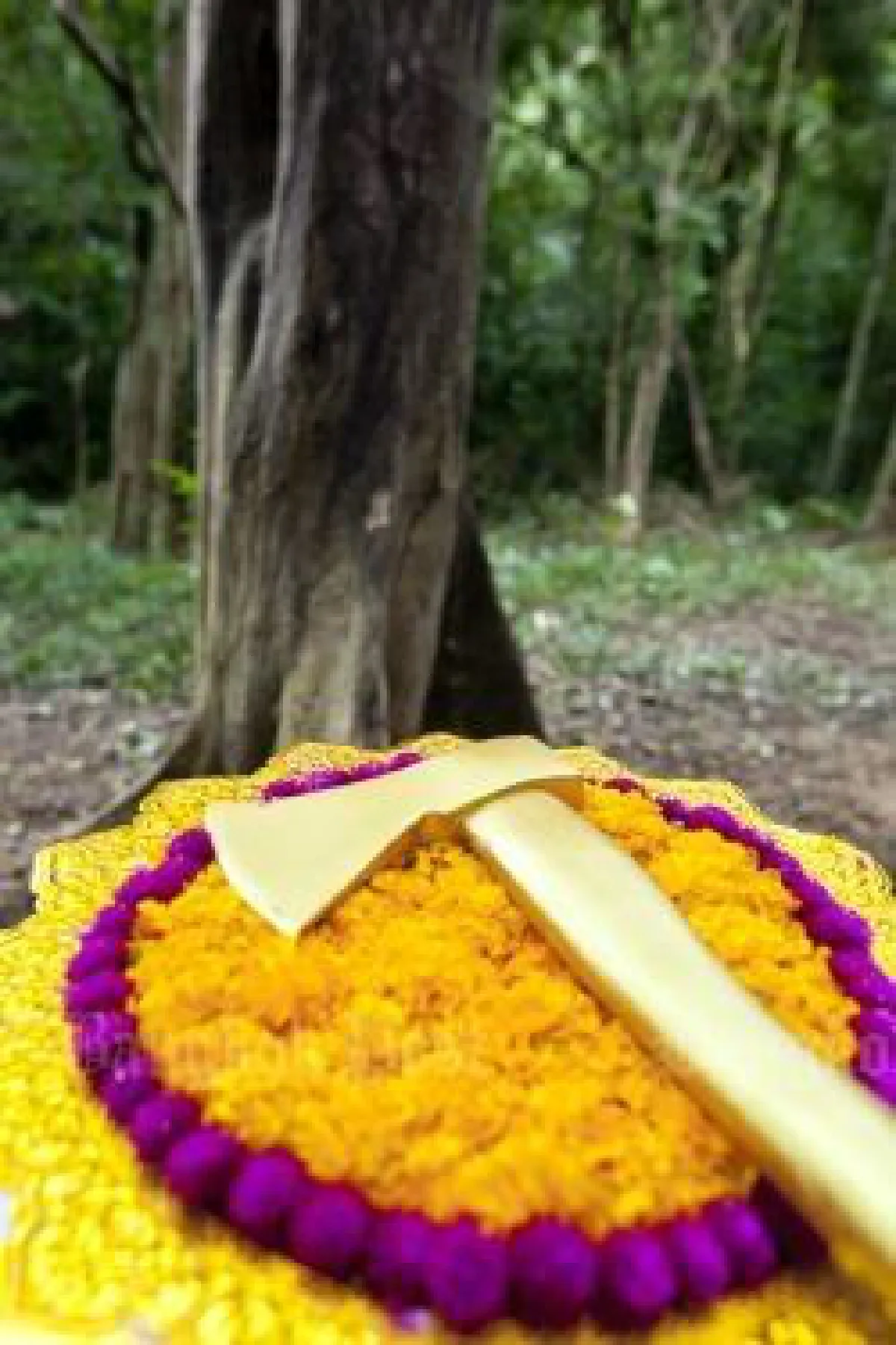 Sandalwood tree cutting ceremony held for royal coffin