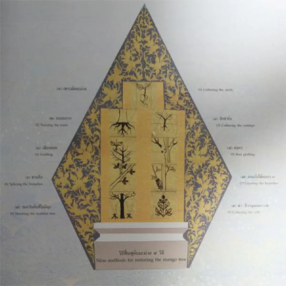 นัยอักษรของพ่อ มีปรัชญาชีวิต