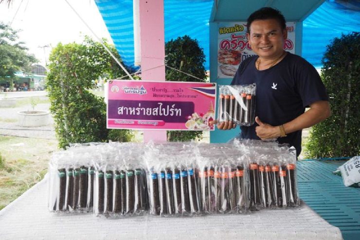 สาหร่ายอบม้วนสไปร์ท เปลี่ยนรูปแบบทวงส่วนแบ่งตลาด สาหร่ายอบม้วนสไปร์ท เปลี่ยนรูปแบบทวงส่วนแบ่งตลาด