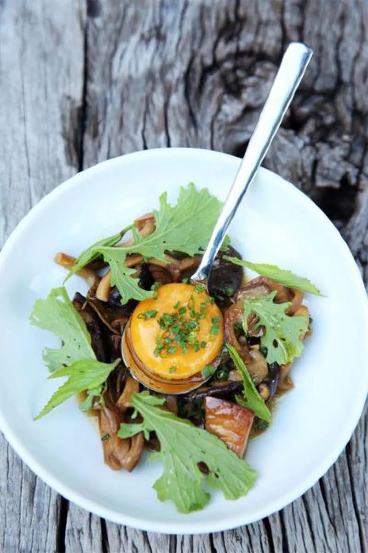 โทโร่ บีเคเค ร้านเก๋ เมนูโดนใจ