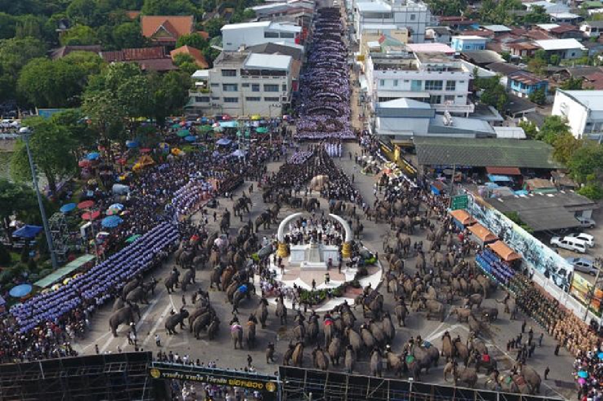 ชาวสุรินทร์นำช้าง189เชือกร่วมอาลัยในหลวงร.9 (มีคลิป) ชาวสุรินทร์นำช้าง189เชือกร่วมอาลัยในหลวงร.9 (มีคลิป)