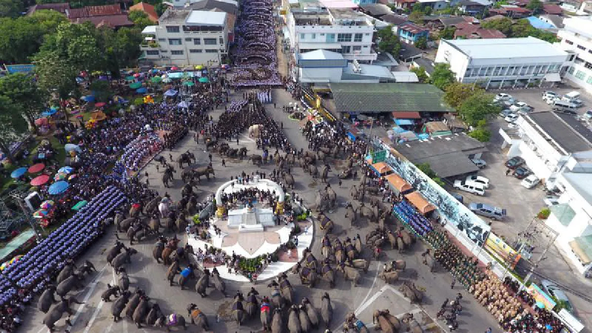 ชาวสุรินทร์นำช้าง189เชือกร่วมอาลัยในหลวงร.9 (มีคลิป)