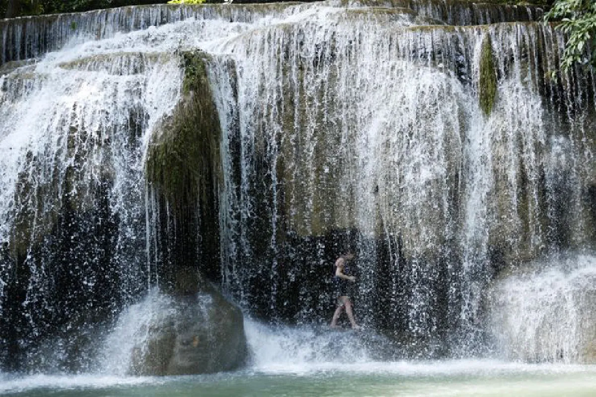 ตามรอยผู้พิทักษ์ ‘ผืนป่าตะวันตก’