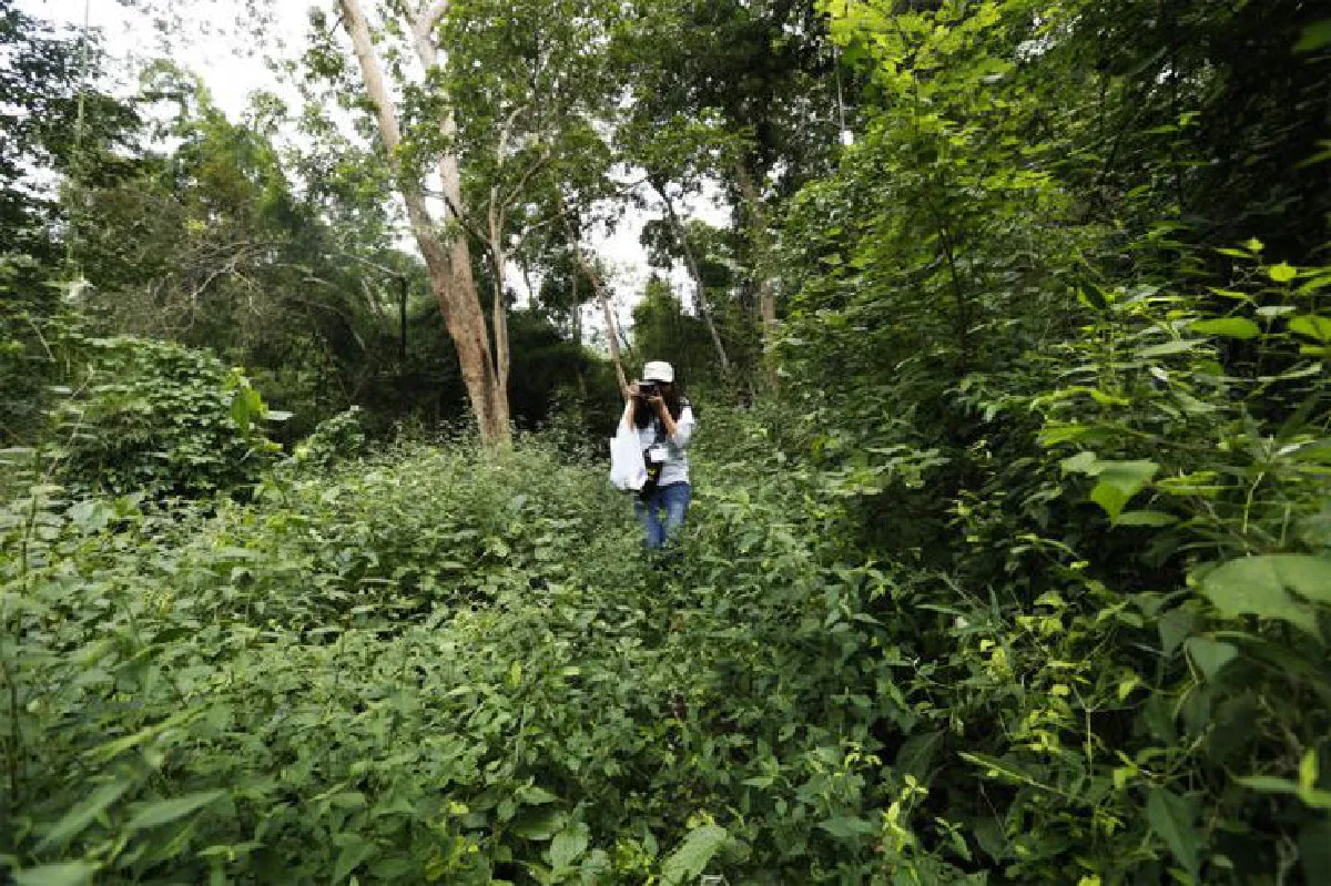 ตามรอยผู้พิทักษ์ ‘ผืนป่าตะวันตก’