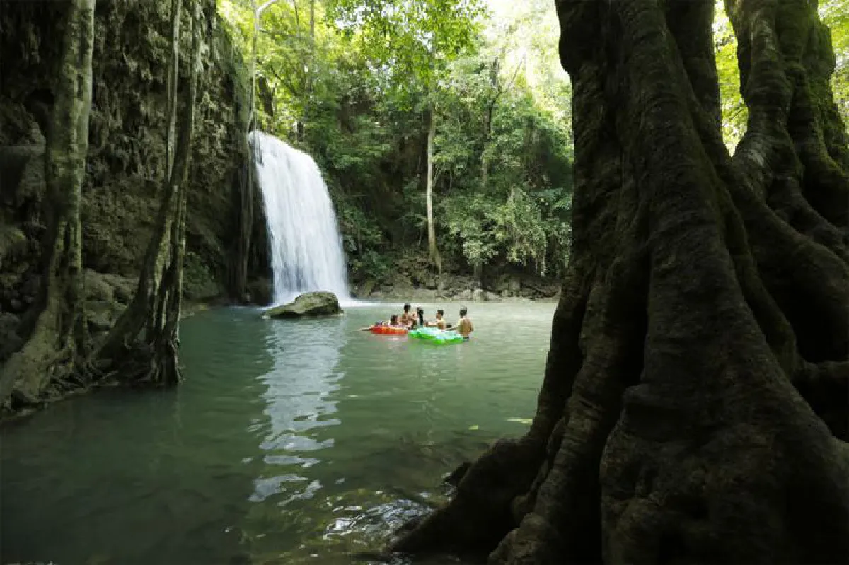 ตามรอยผู้พิทักษ์ ‘ผืนป่าตะวันตก’