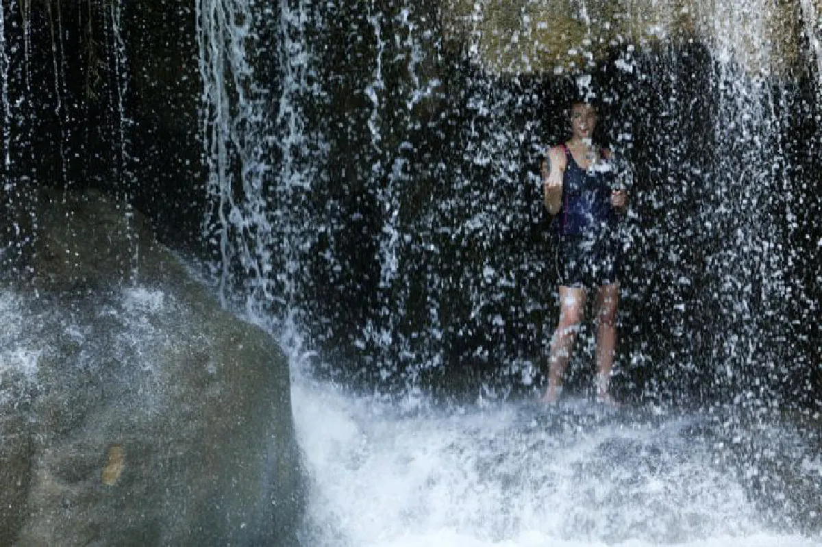 ตามรอยผู้พิทักษ์ ‘ผืนป่าตะวันตก’