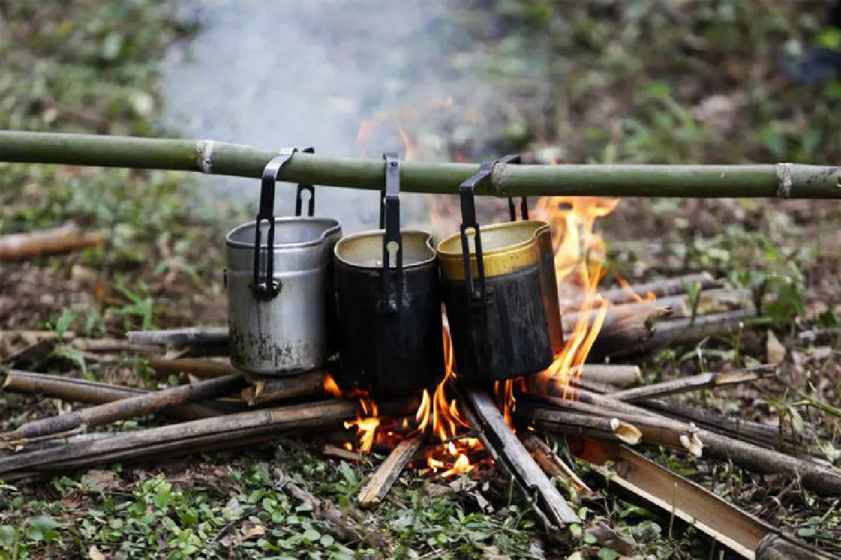 ตามรอยผู้พิทักษ์ ‘ผืนป่าตะวันตก’