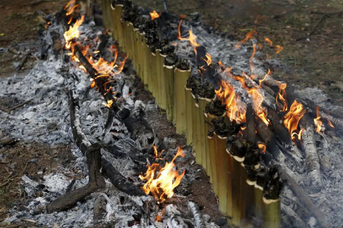 ตามรอยผู้พิทักษ์ ‘ผืนป่าตะวันตก’