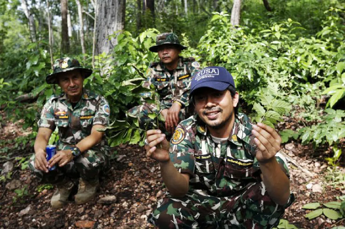 ตามรอยผู้พิทักษ์ ‘ผืนป่าตะวันตก’