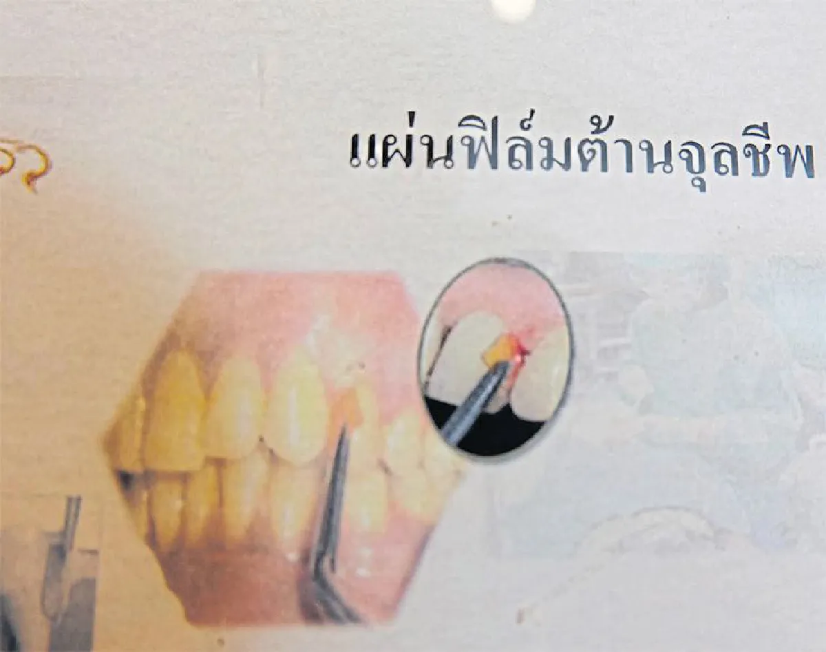 วิทยาศาสตร์ เทคโนโลยี ส่งคาราวาน ‘งานวิจัยสู่ห้าง’