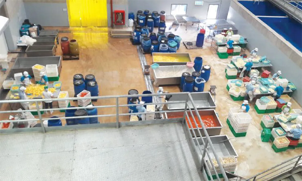 บ้านของพ่อที่...‘ภูพาน’ ต้นแบบการพัฒนาสู่ความยั่งยืน