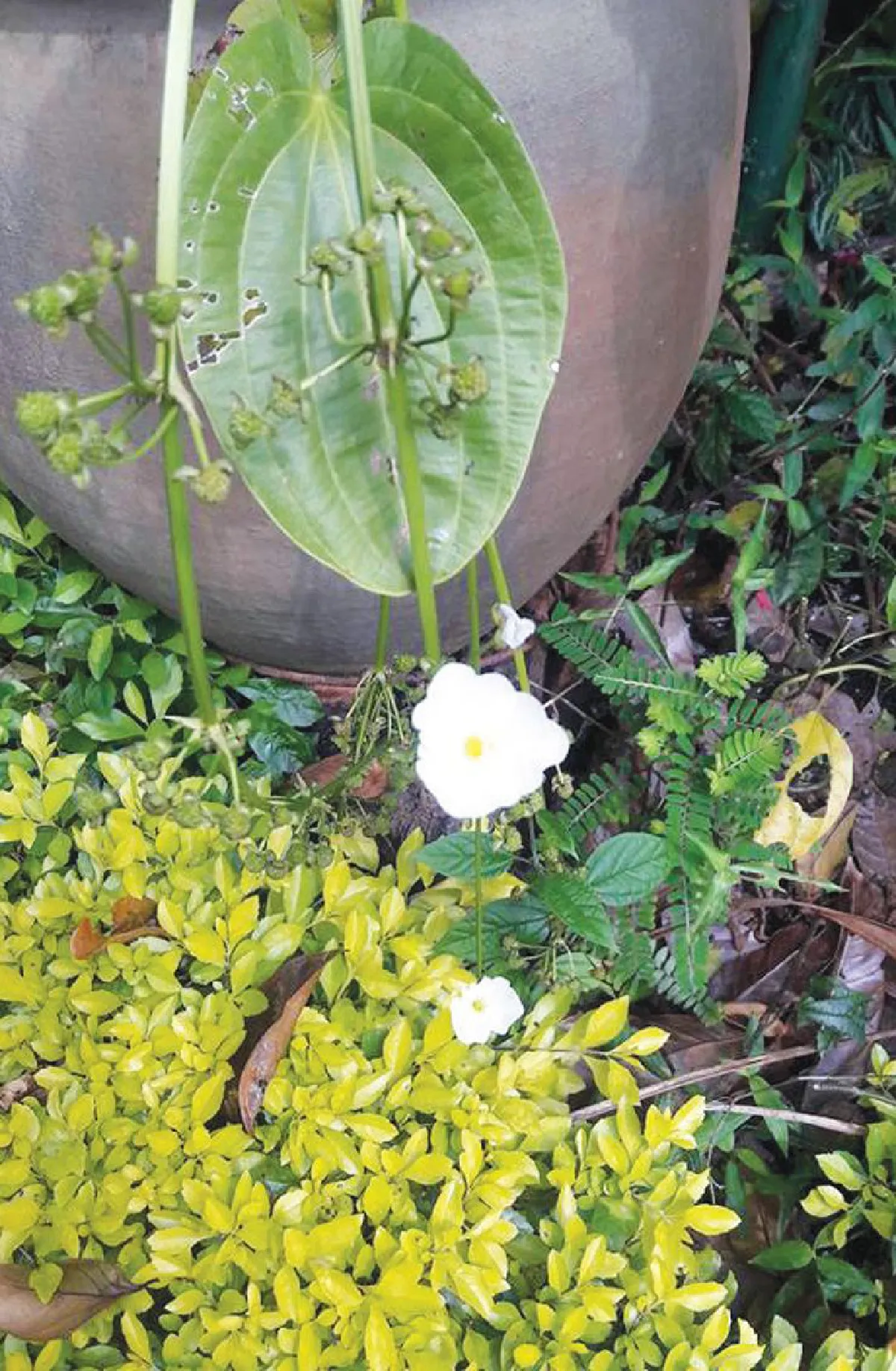 บ้านของพ่อที่...‘ภูพาน’ ต้นแบบการพัฒนาสู่ความยั่งยืน