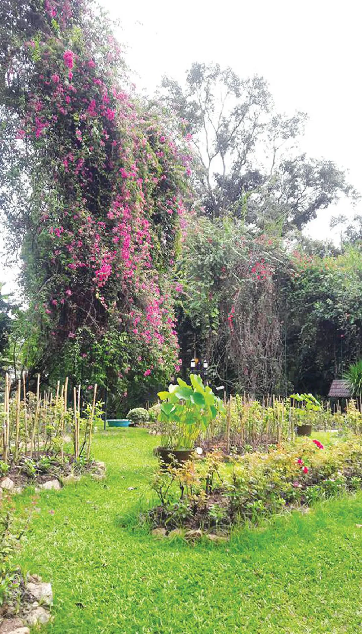 บ้านของพ่อที่...‘ภูพาน’ ต้นแบบการพัฒนาสู่ความยั่งยืน