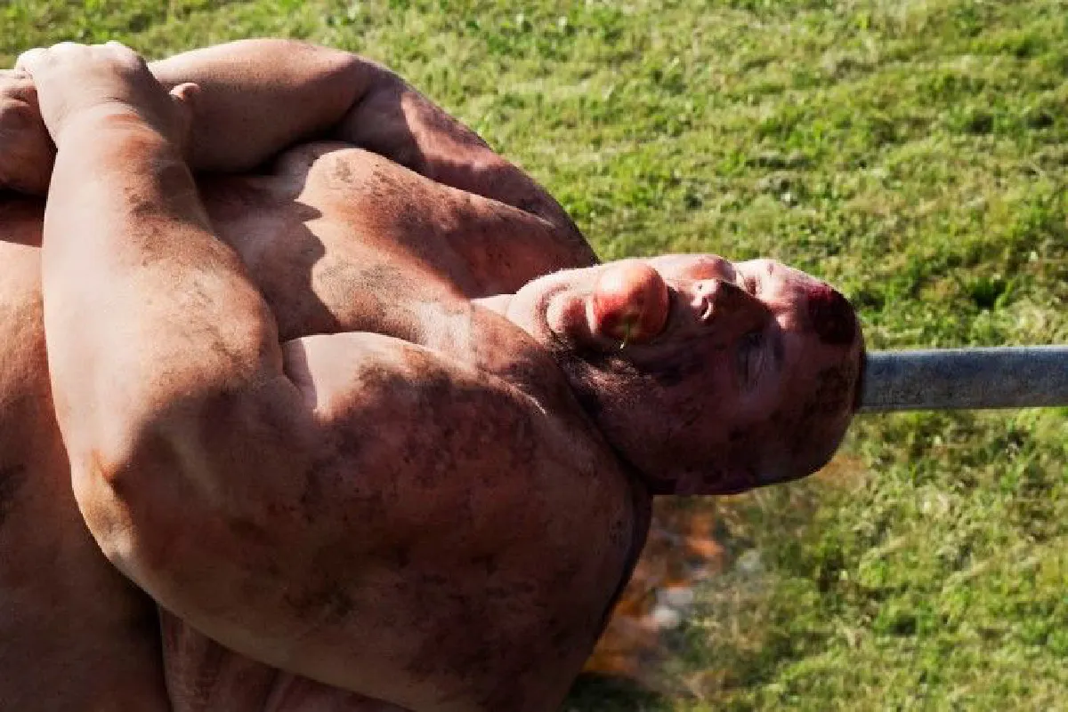 เราบริโภคเนื้อสัตว์มากเกินไปหรือไม่? โปรเจคภาพถ่ายสร้างความตระหนักถึง