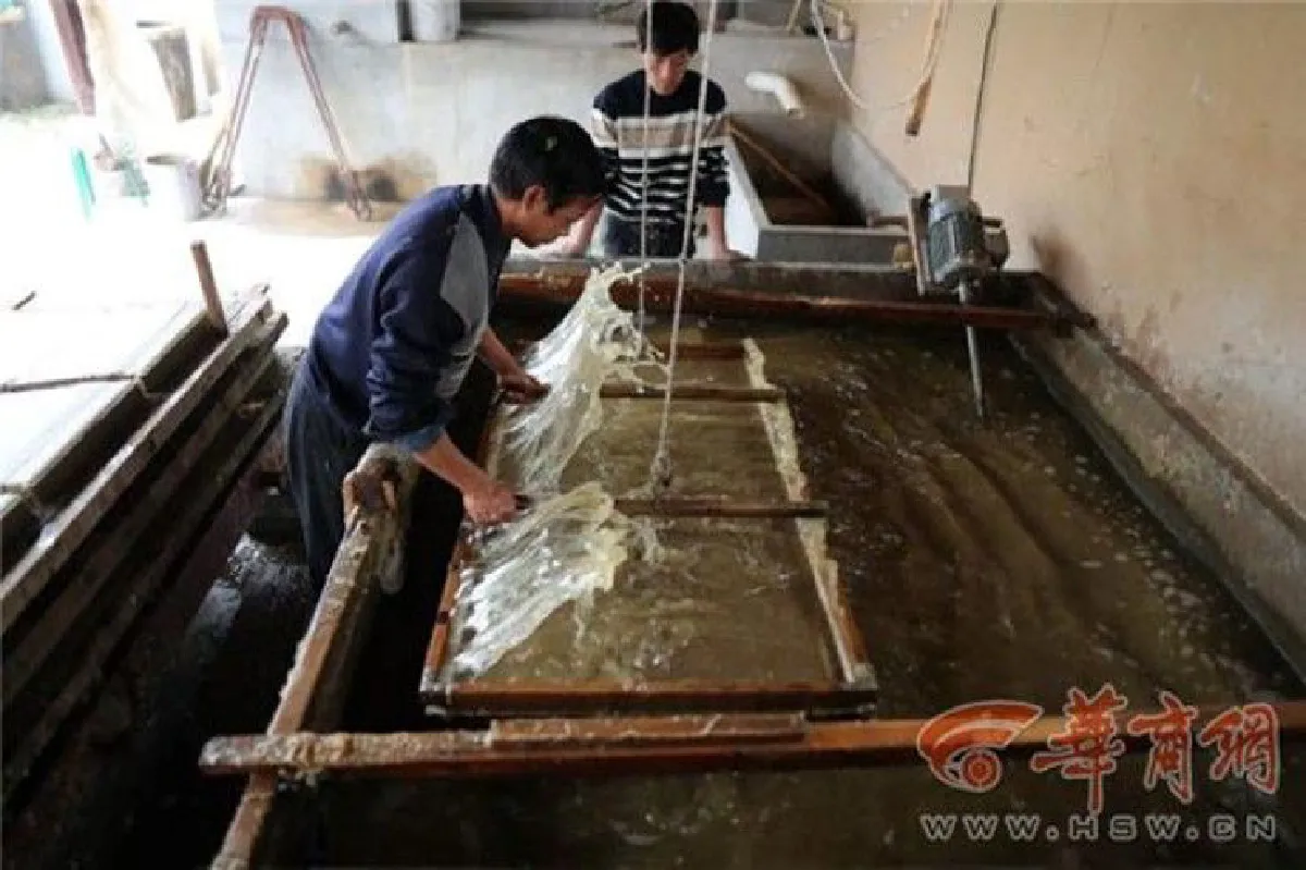 ครูเกษียณชาวจีนใช้เวลาว่างเปลี่ยนอึแพนด้าเป็นกระดาษ