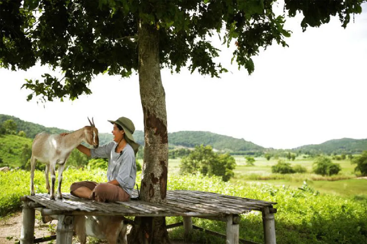 ถอดรหัส ปรัชญาเศรษฐกิจพอเพียง เกษตรกรรุ่นใหม่หัวใจเดิมพัน