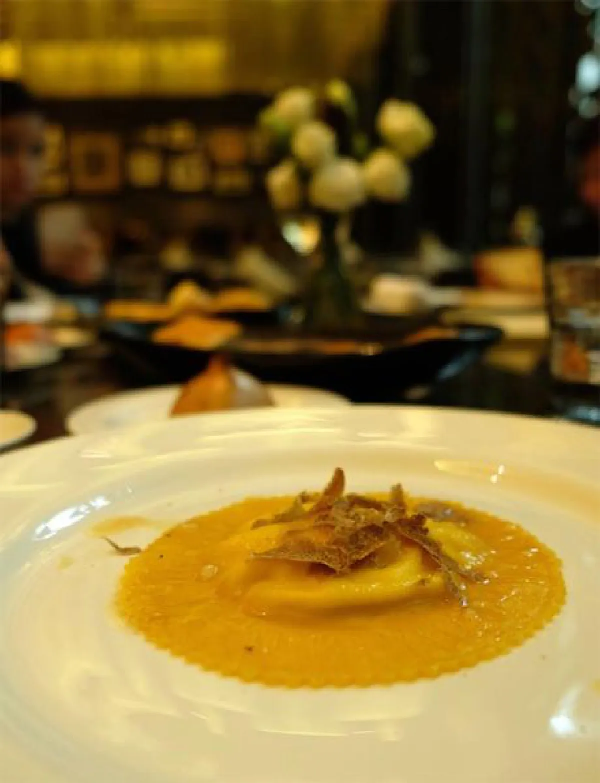 เห็ดทรัฟเฟิลขาว จากอัลบ้า