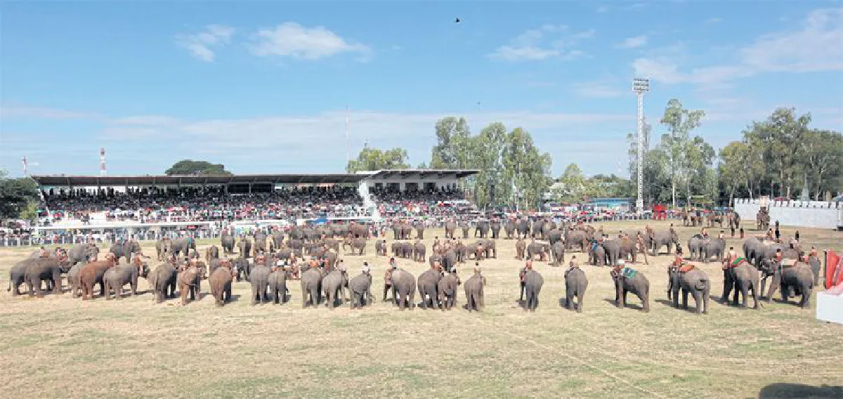 น้ำตาหลั่งริน แผ่นดินช้าง