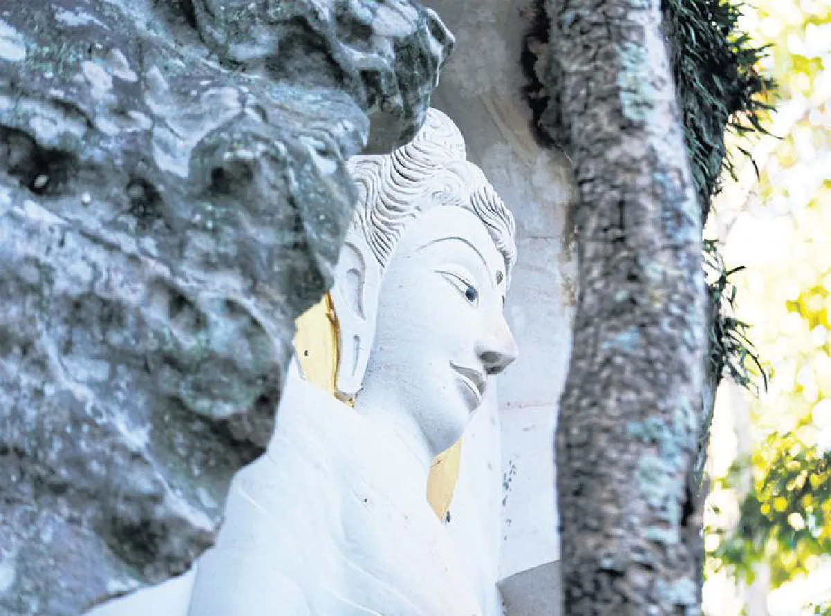 ‘พะเยา’ อย่ารีบมา