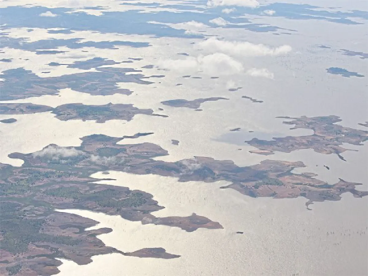 นางฟ้าในป่าลึก (Angel in the deepest place)