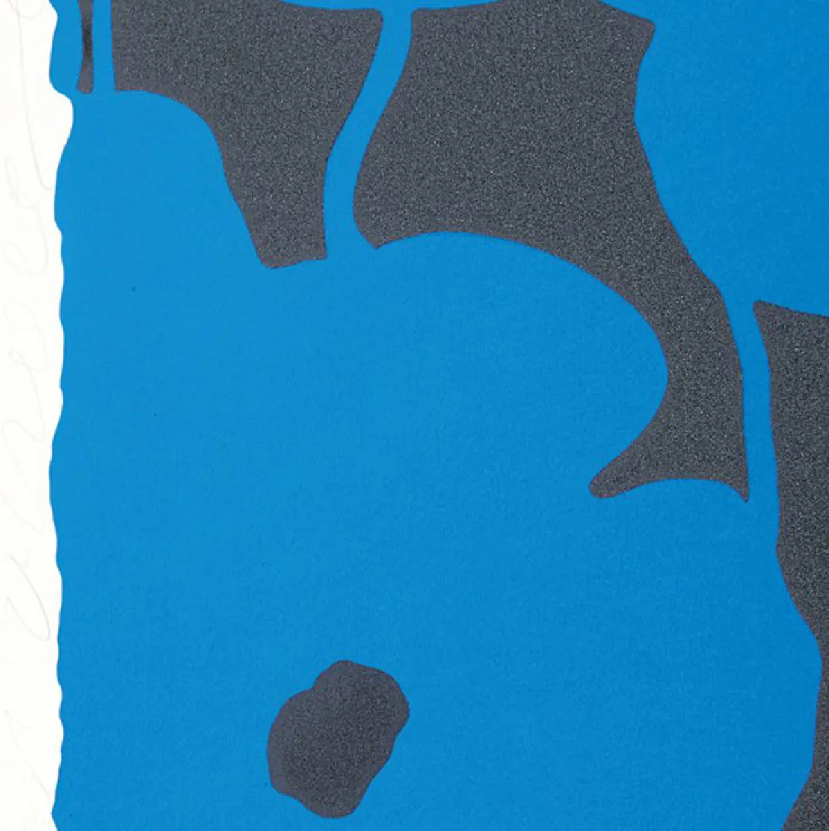 ดอกไม้ของโดนัลด์ ซัลตัน