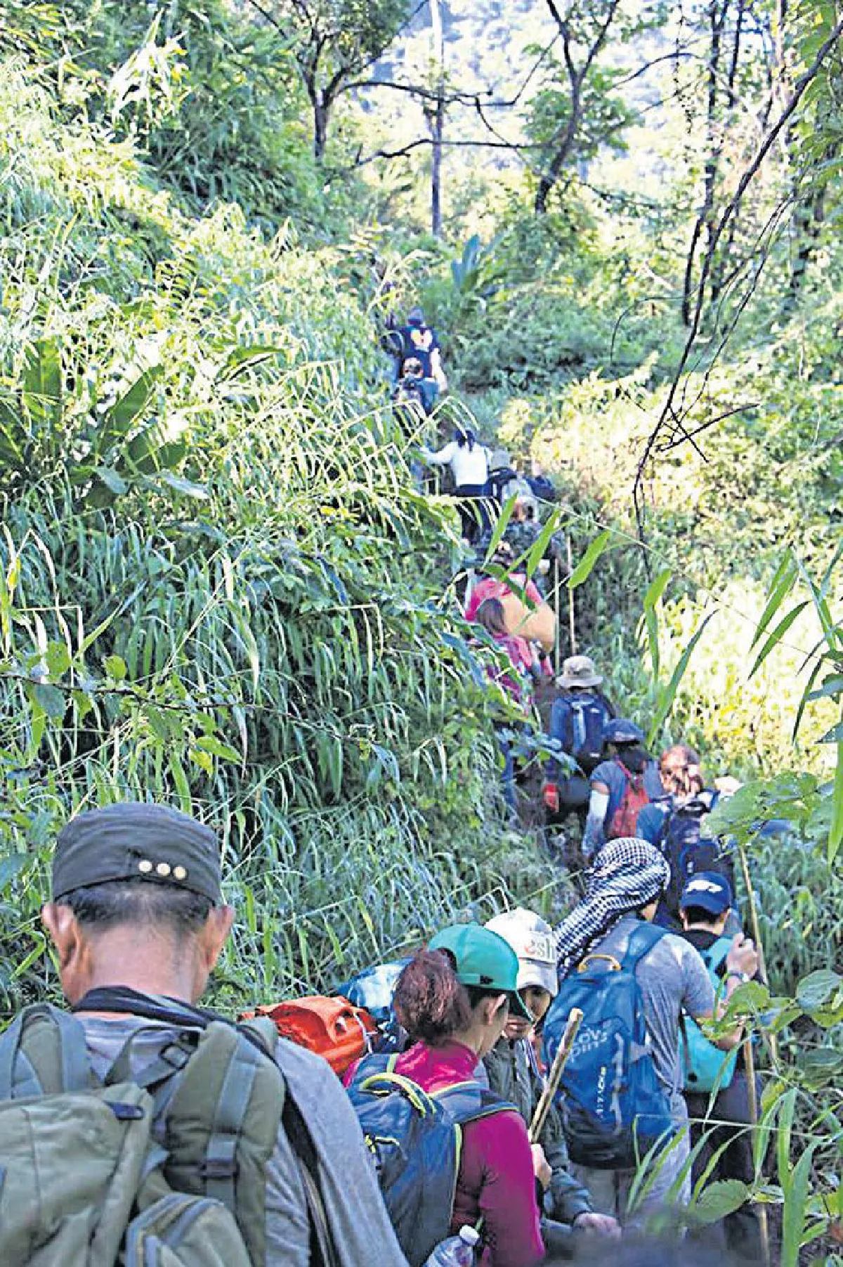 พาหัวใจ...ไปดอยเชียงดาว