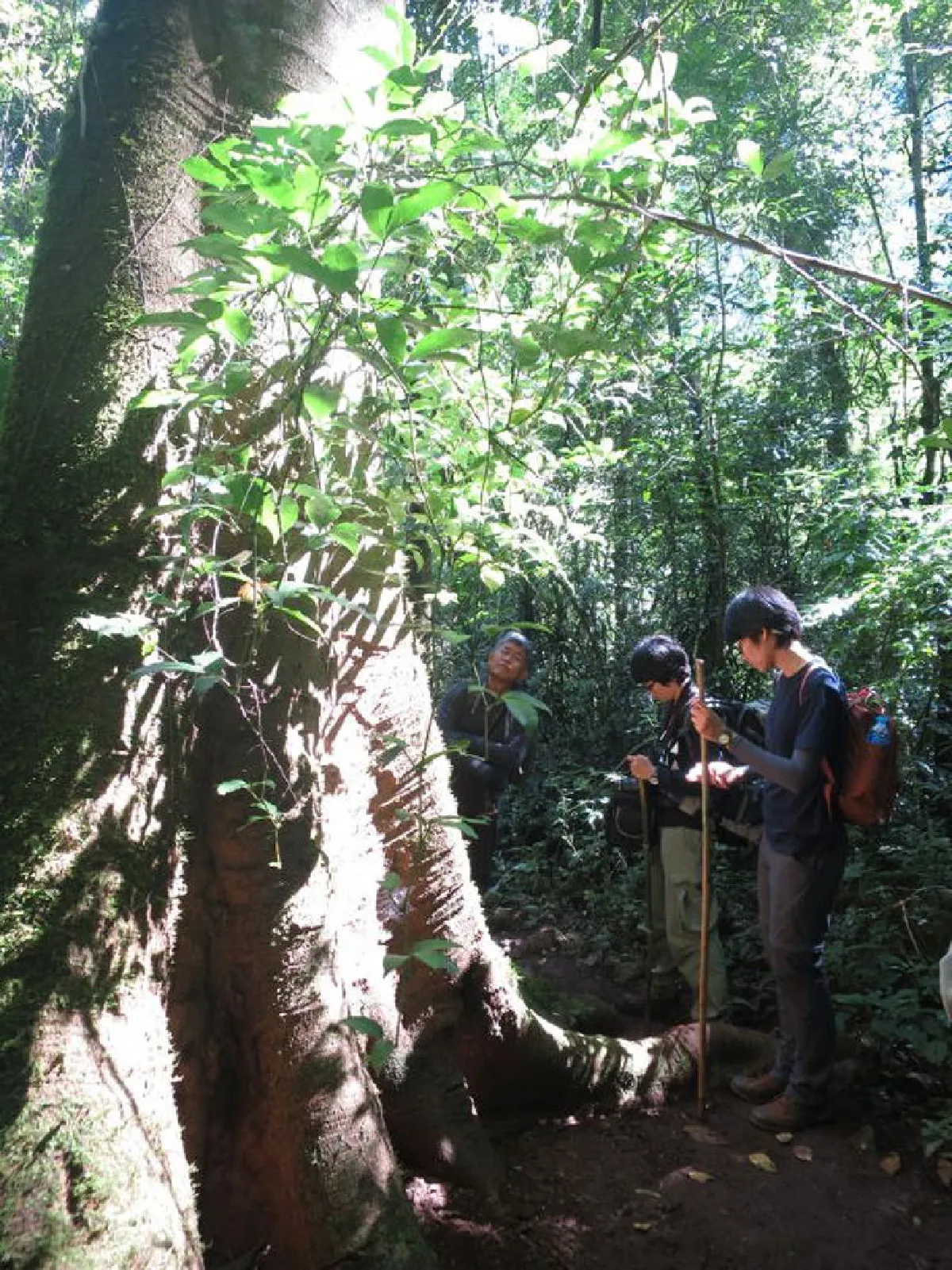 พาหัวใจ...ไปดอยเชียงดาว