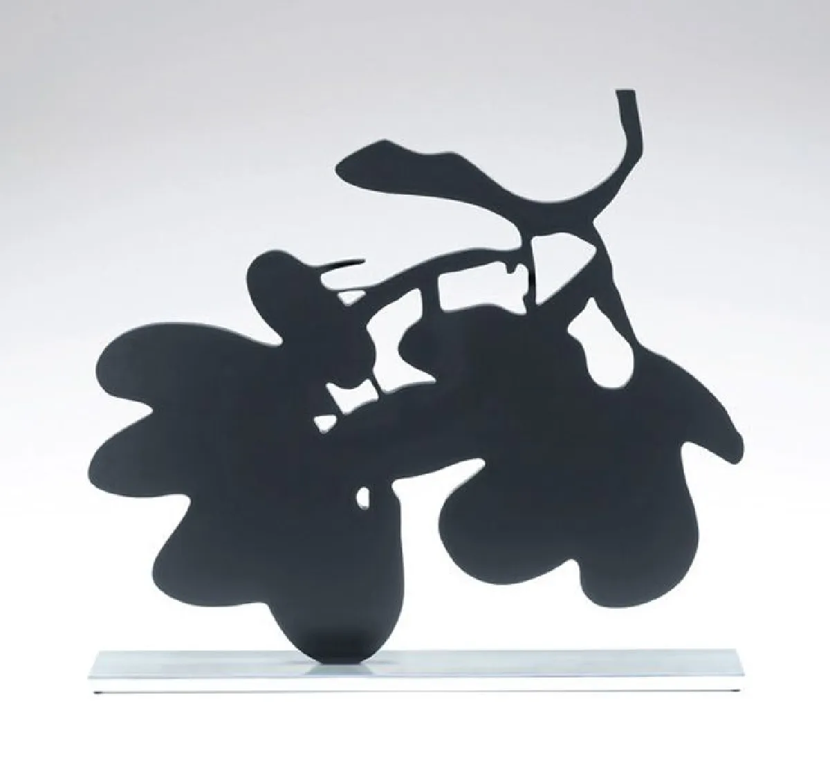 ดอกไม้ของโดนัลด์ ซัลตัน