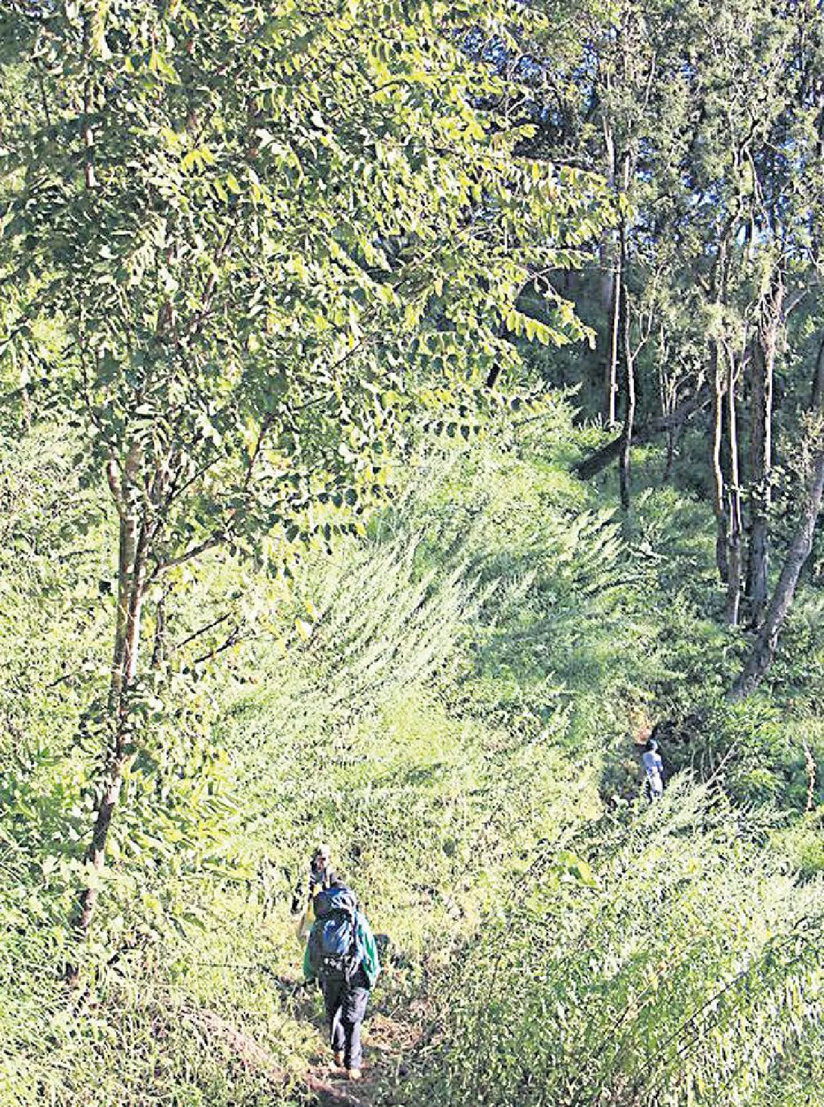 พาหัวใจ...ไปดอยเชียงดาว