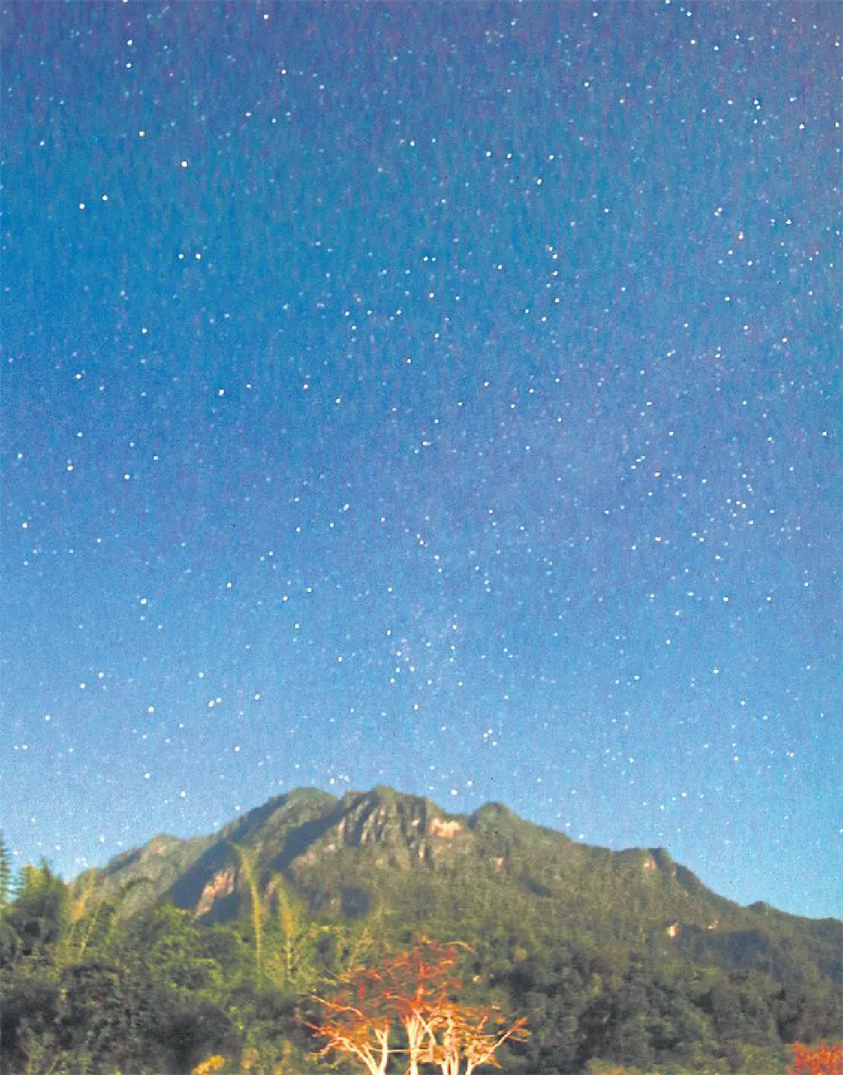 พาหัวใจ...ไปดอยเชียงดาว