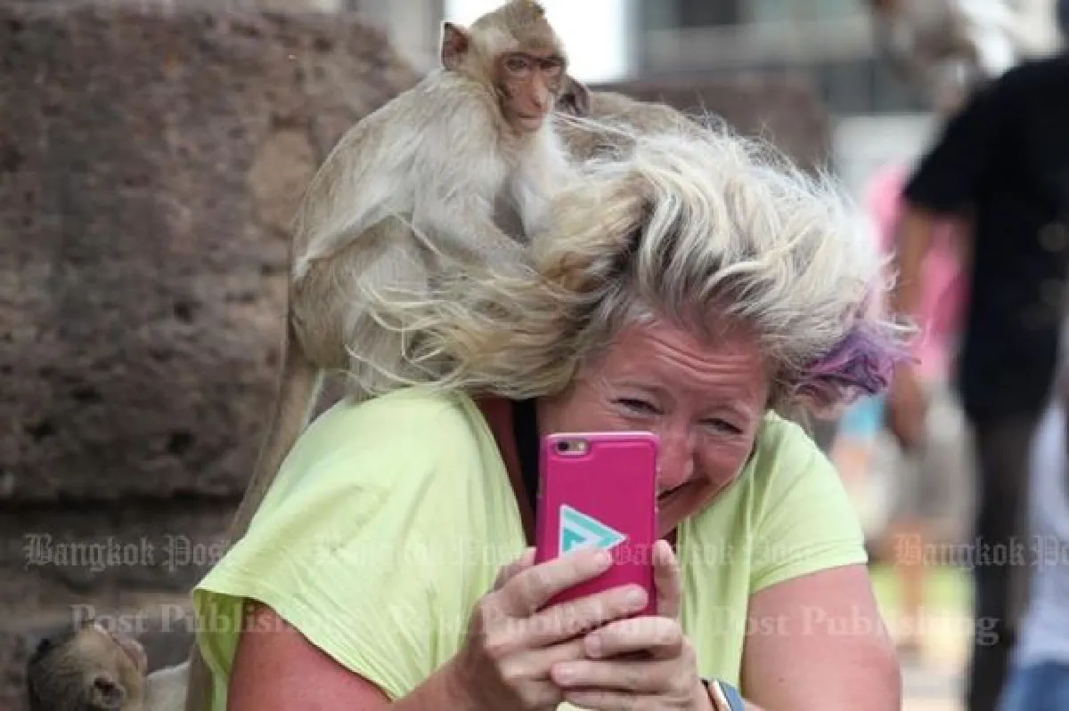 Lop Buri's annual banquet for monkeys