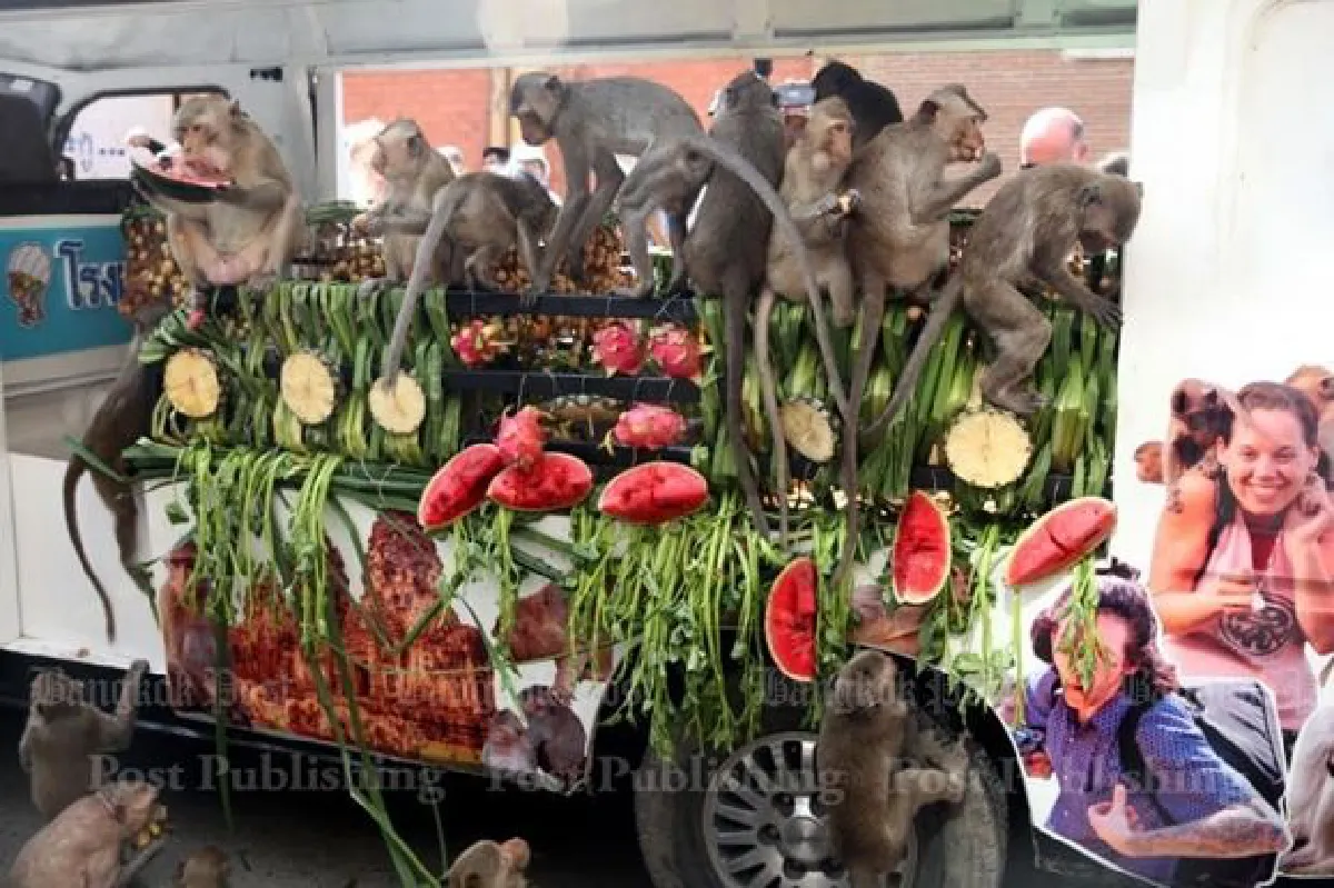 Lop Buri's annual banquet for monkeys