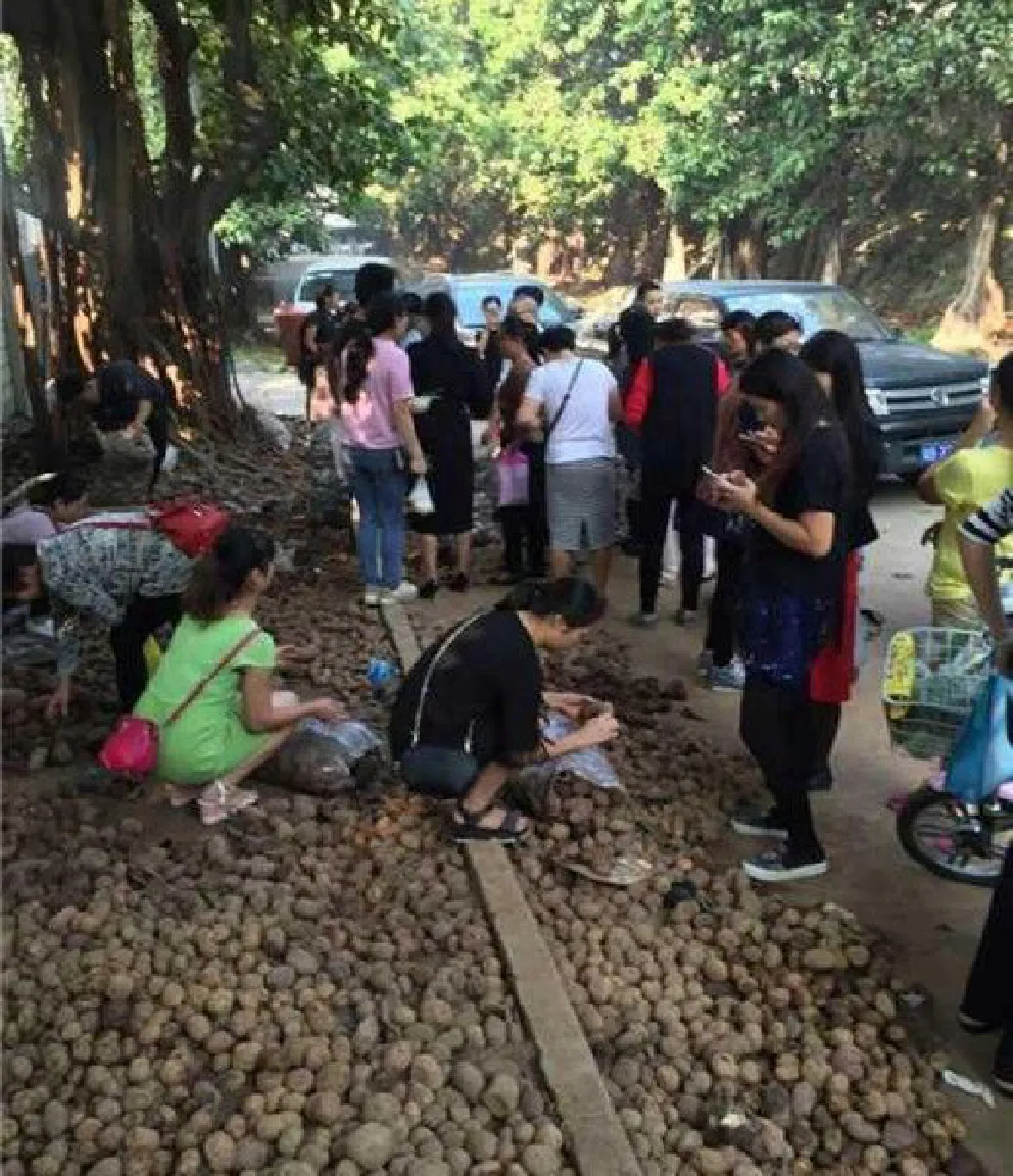 ชาวจีนน้ำใจงามช่วยซื้อมันฝรั่ง 32 ตัน หมดเกลี้ยงในคืนเดียว!