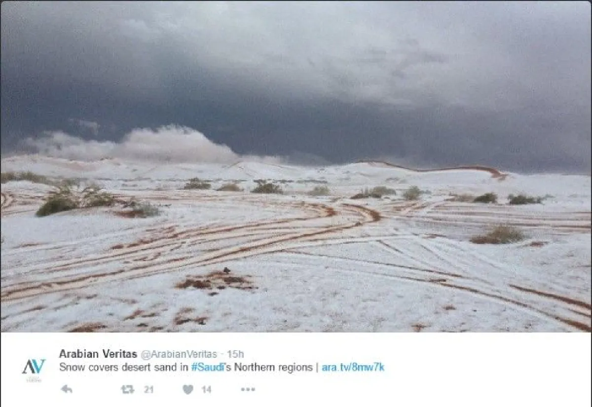 หิมะตกในทะเลทรายของซาอุดิอาระเบีย