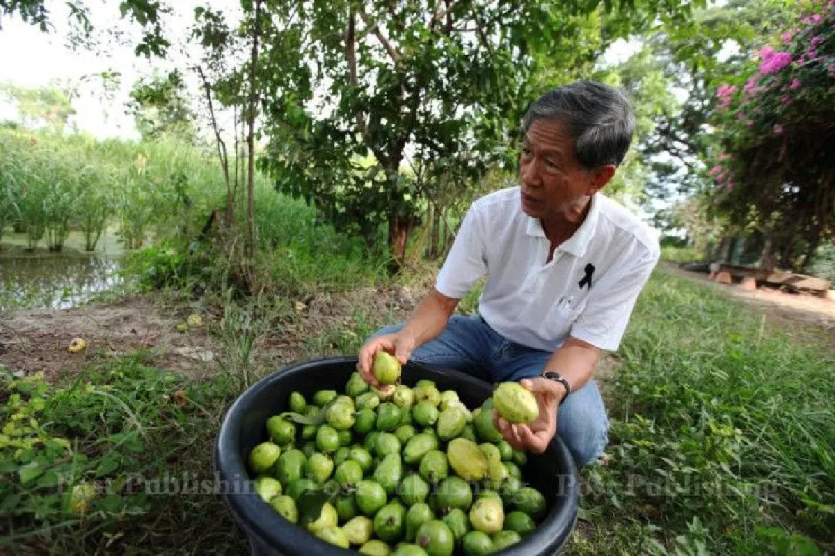 "เมื่อทุกข์มากๆ วันนึงชาวนาจะตาสว่างเอง" เดชา ศิริภัทร ปราชญ์ชาวนา