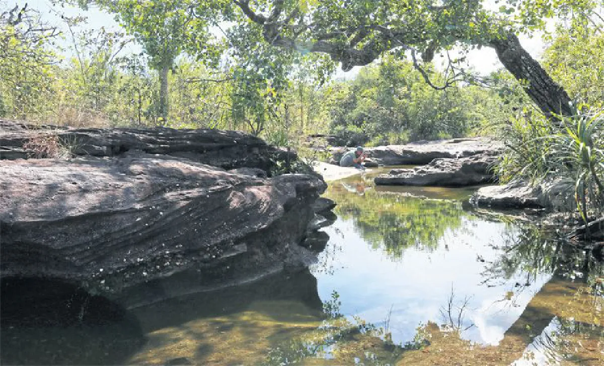 ความยิ่งใหญ่ของดอกไม้กระจิริด