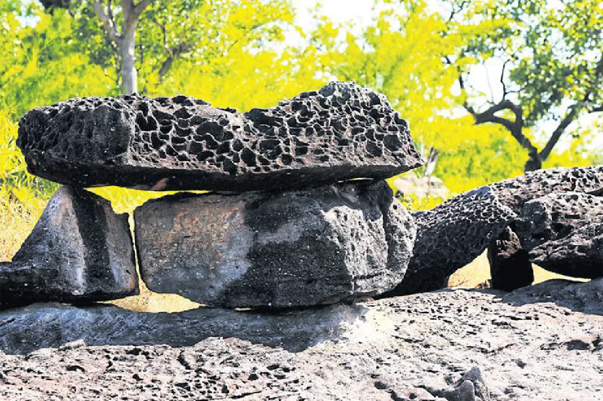 ความยิ่งใหญ่ของดอกไม้กระจิริด