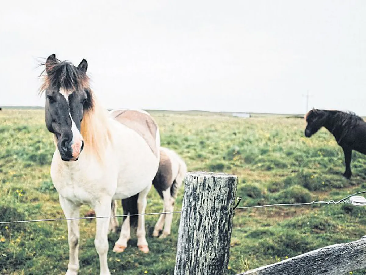 หายไปที่อื่นกับ ทีปกร วุฒิพิทยามงคล