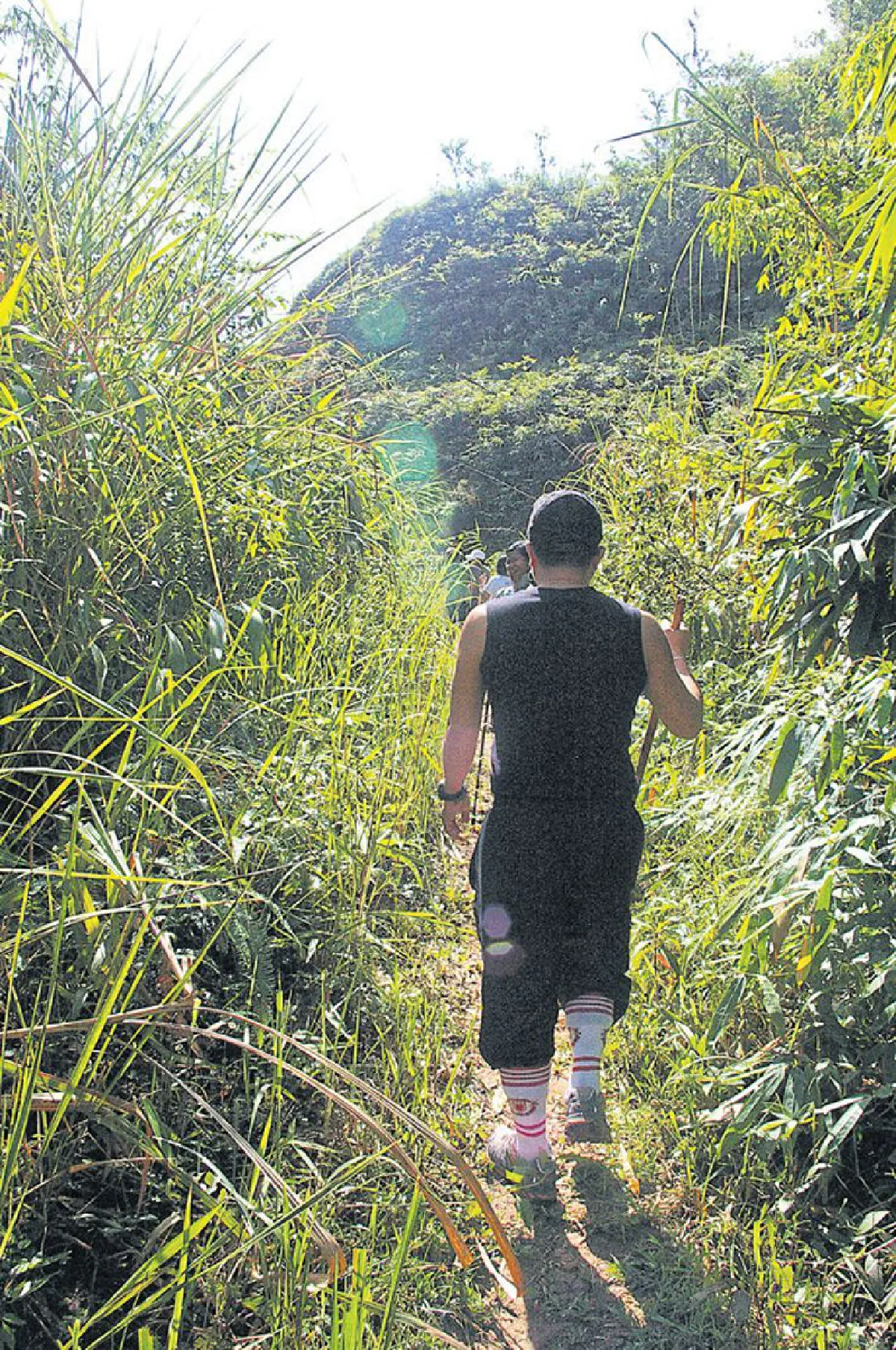 เดินป่า พาตัวสู่ธรรมชาติ