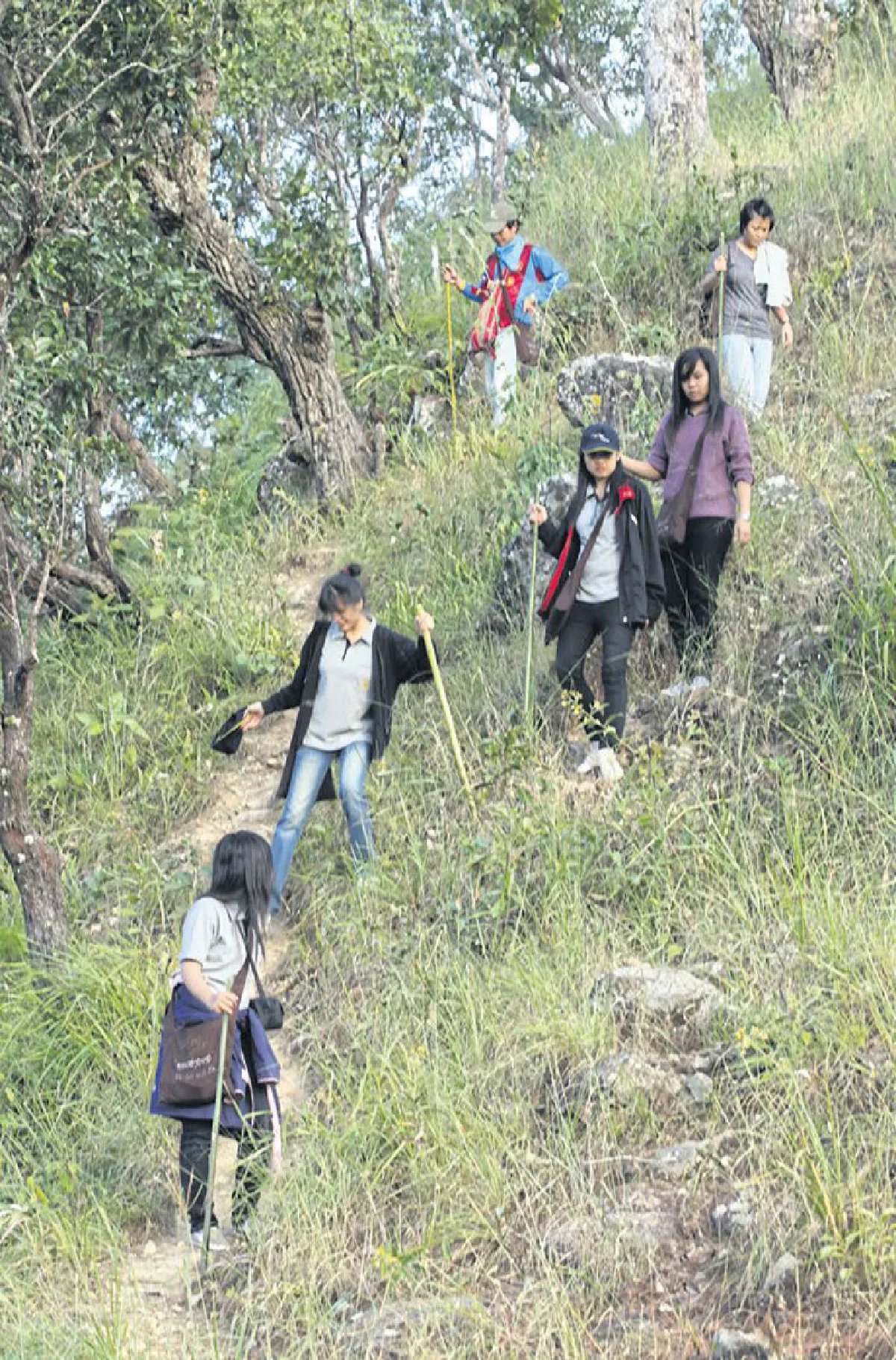 เดินป่า พาตัวสู่ธรรมชาติ