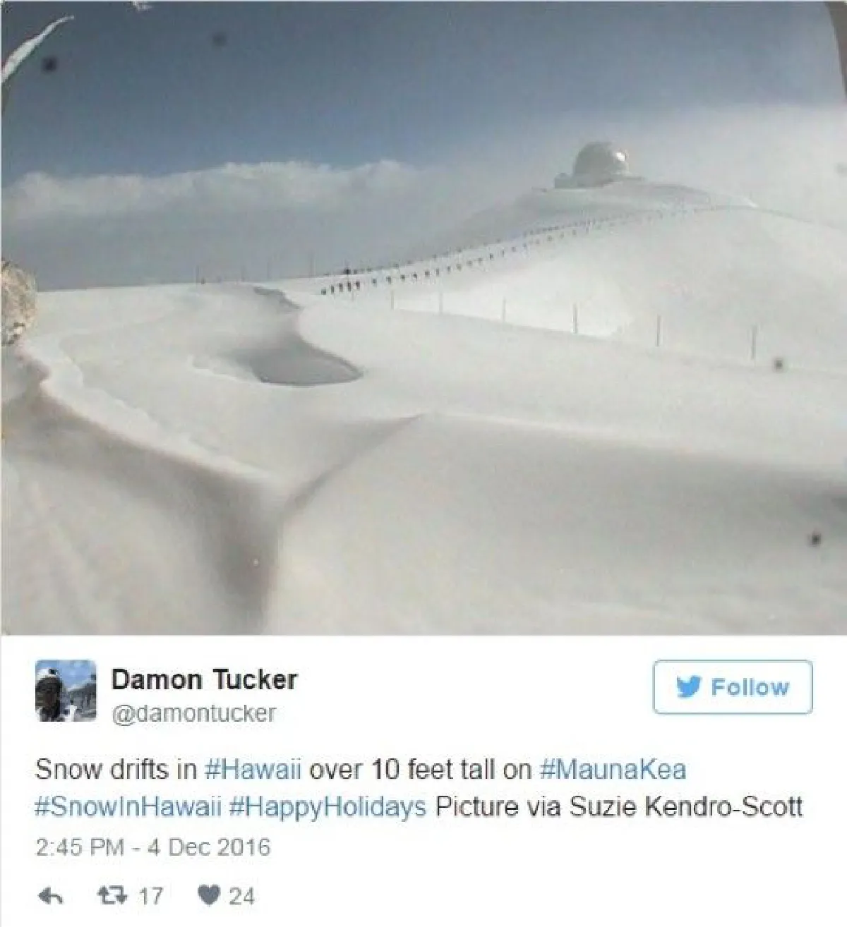 อโลฮา! หิมะตกบนยอดเขาในฮาวายหนา 90 ซม.